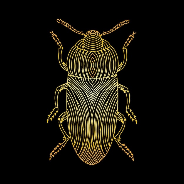 Vetor um besouro dourado em um estilo linear ilustração vetorial linear