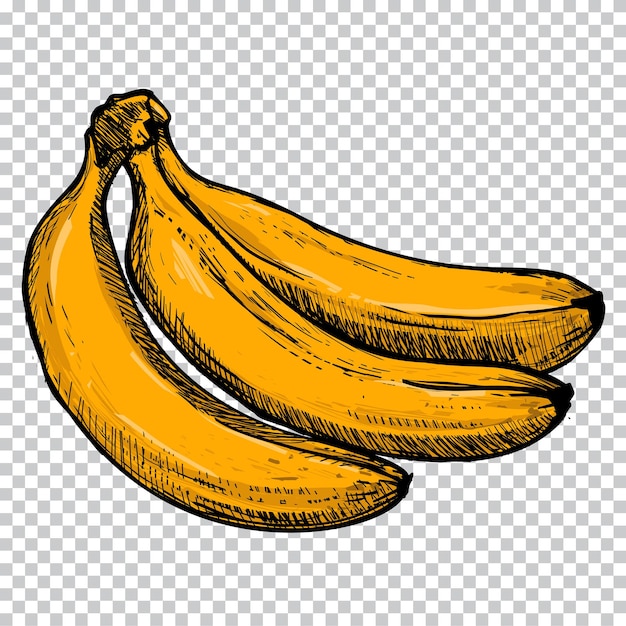 HOW TO DRAW A BANANA/ COMO DESENHAR UMA BANANA 