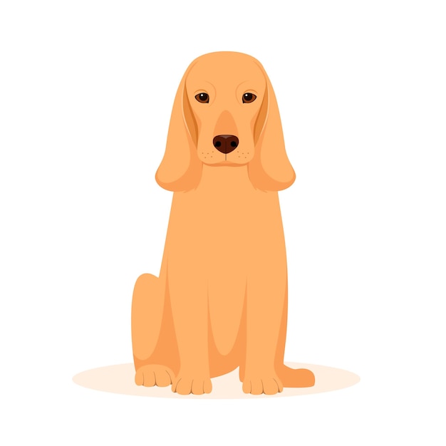 Vetor um cão cocker spaniel em um fundo branco desenho de desenho animado