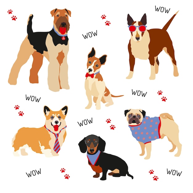 Um cão hipster os personagens de cães domésticos na moda combina com um vetor definido com gravata e óculos ilustração vetorial em um fundo branco