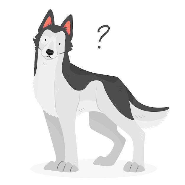 Um cão husky siberiano com um ponto de interrogação pergunta do cão um cão incompreensível com a cabeça inclinada