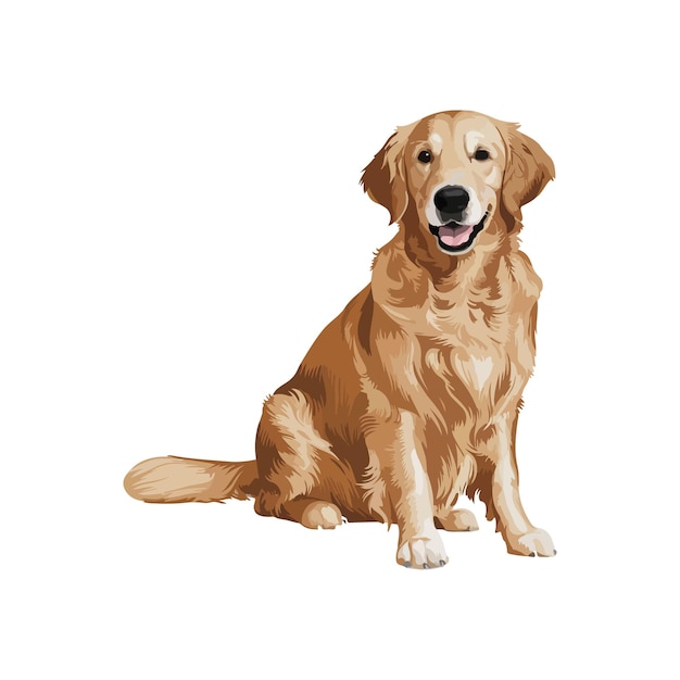 Um cão retriever dourado castanho e branco está sentado ilustração vetorial clipart