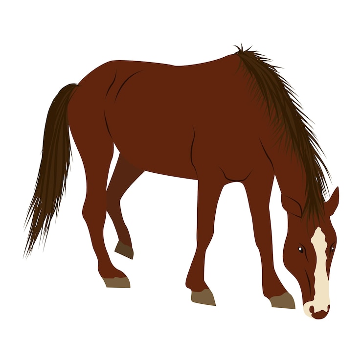 Vetor um cavalo marrom com uma mancha branca anda de cabeça baixa. animais vetores domésticos e silvestres