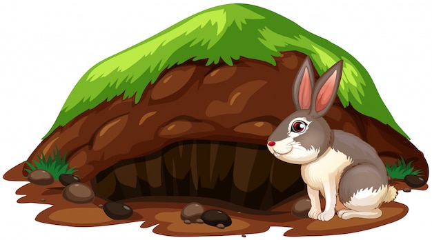 Um coelho bonito saindo do buraco