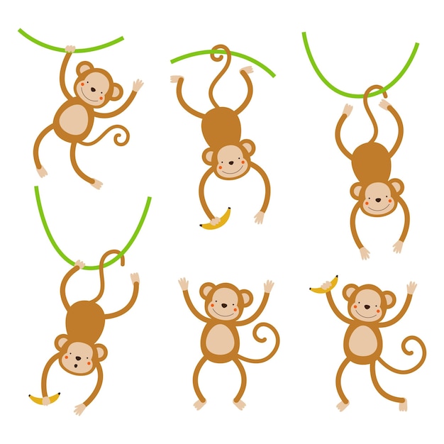 Vetor um conjunto com macacos bonitos dos desenhos animados isolados em um fundo branco. ilustração vetorial para impressão