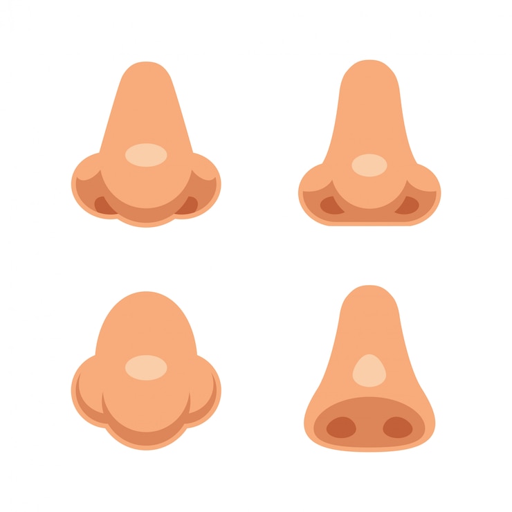 Vetor um conjunto de 4 narizes humanos dos desenhos animados. partes do corpo isoladas