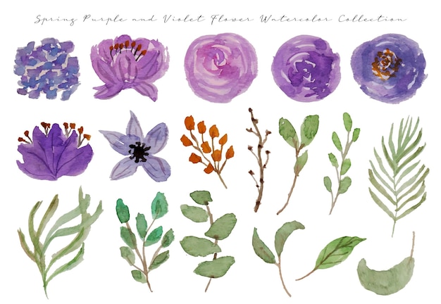 Um conjunto de aquarela de flor roxa e violeta de primavera pintada à mão fofa