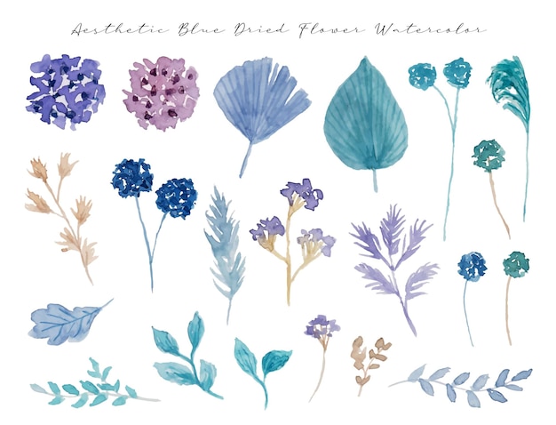 Um conjunto de aquarela de flor seca azul suave elegante