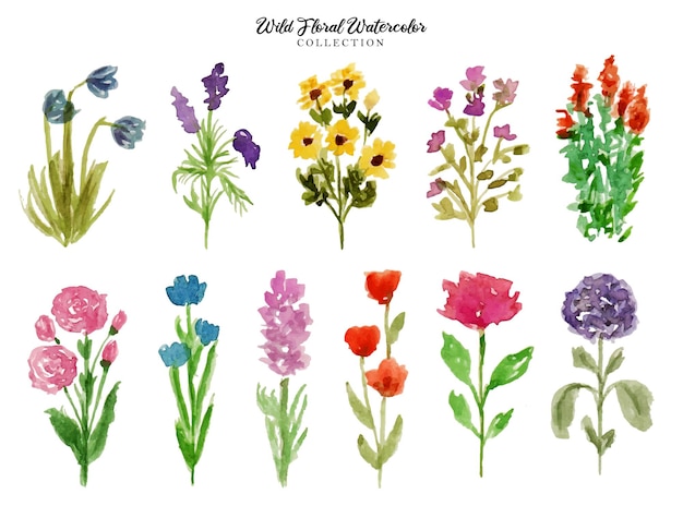 Vetor um conjunto de bela aquarela de flores silvestres desenhada à mão