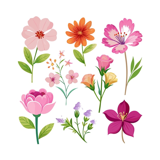Um conjunto de belas ilustrações vetoriais de estilo plano de flores