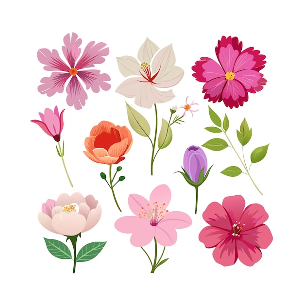 Um conjunto de belas ilustrações vetoriais de estilo plano de flores