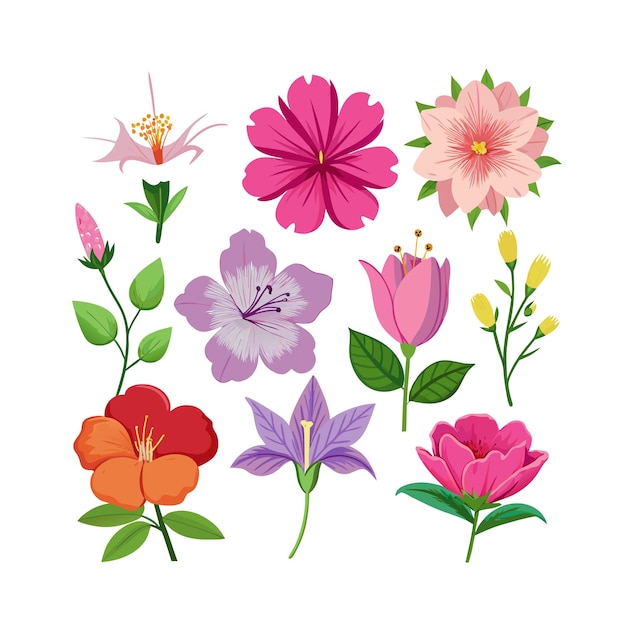 Um conjunto de belas ilustrações vetoriais de estilo plano de flores