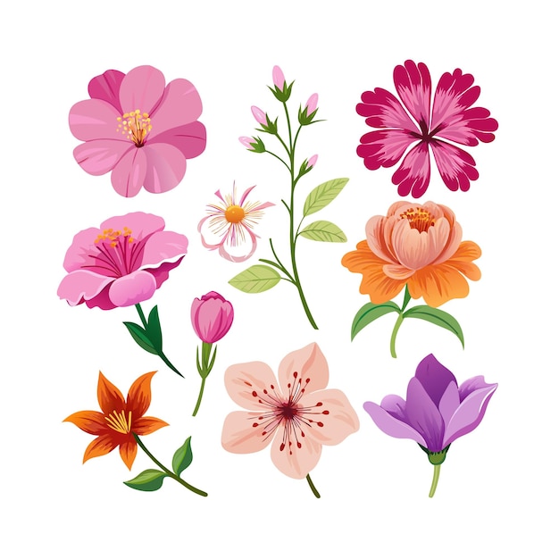 Um conjunto de belas ilustrações vetoriais de estilo plano de flores