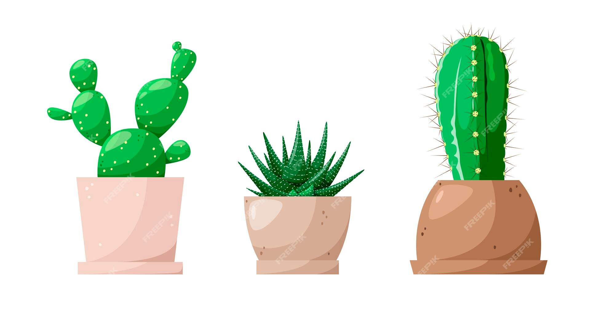 Conjunto de cactos em estilo simples de desenho animado isolado no fundo  branco. cactus em vasos e flores. variedade