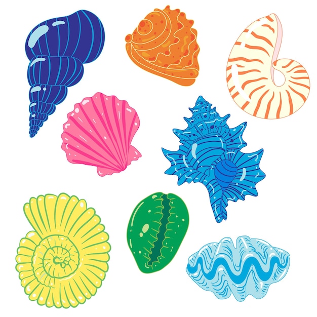 Um conjunto de conchas coloridas com várias formas e detalhes perfeitos para temas marinhos e de praia