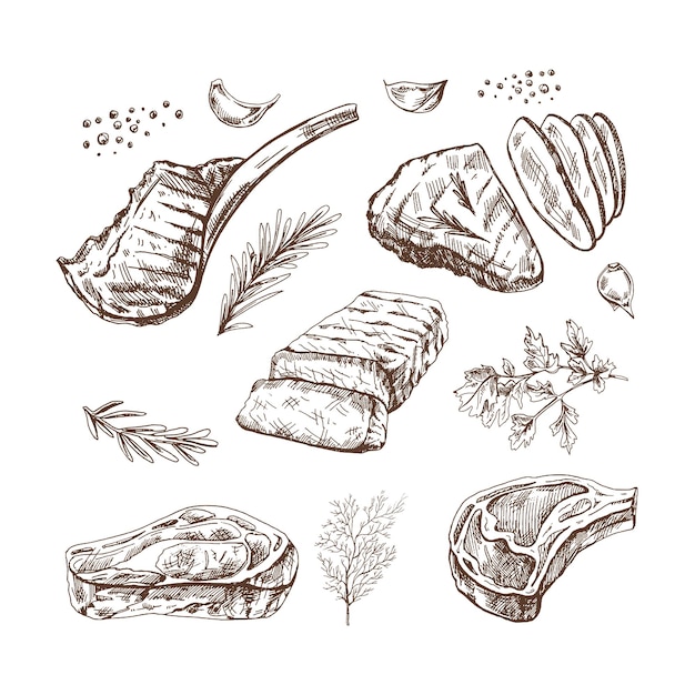 Um conjunto de esboços desenhados à mão de pedaços de carne de churrasco com ervas e temperos Para o design do menu de bifes de restaurantes e cafés Ilustração de doodle vintage A imagem gravada