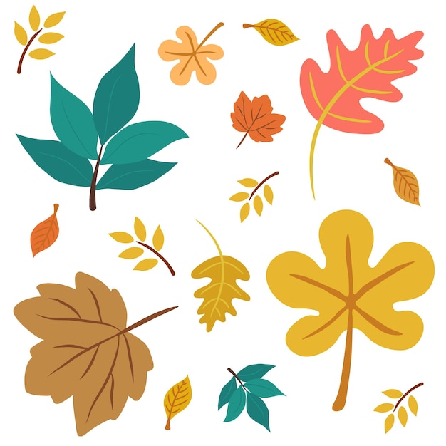 Um conjunto de folhas de outono com a palavra outono nelas.