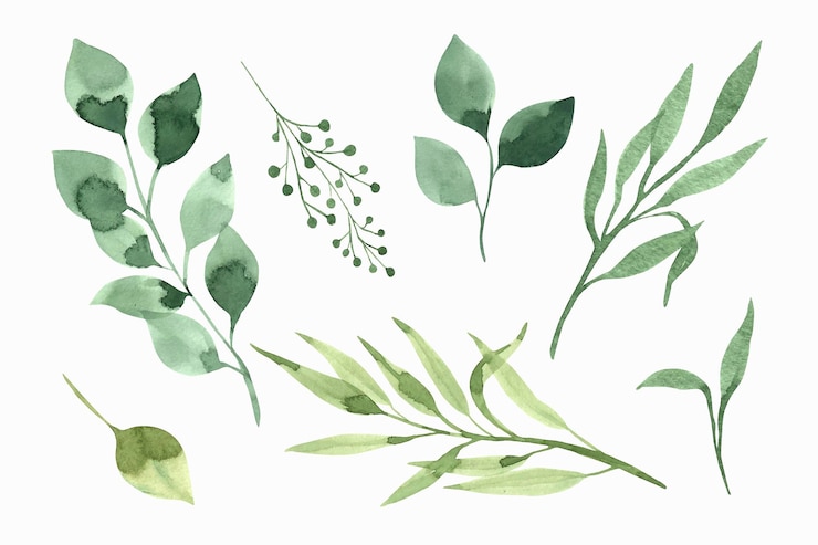 Vetor um conjunto de folhas e galhos verdes em aquarela