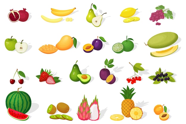 Vetor um conjunto de frutas ícones coloridos dos desenhos animados de frutas maduras e suculentas isoladas em um fundo branco