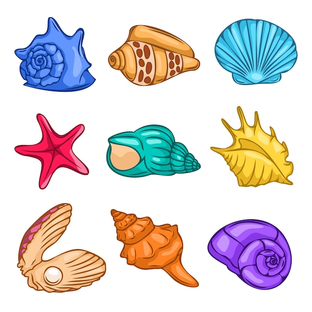 Um conjunto de ilustração vetorial de conchas tropicais Conceito de verão com conchas e estrelas do mar