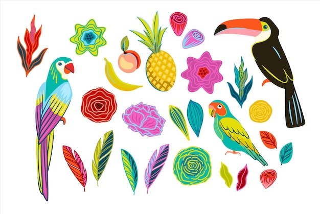 Um conjunto de ilustrações brilhantes de aves tropicais flores e frutos elementos isolados vetor