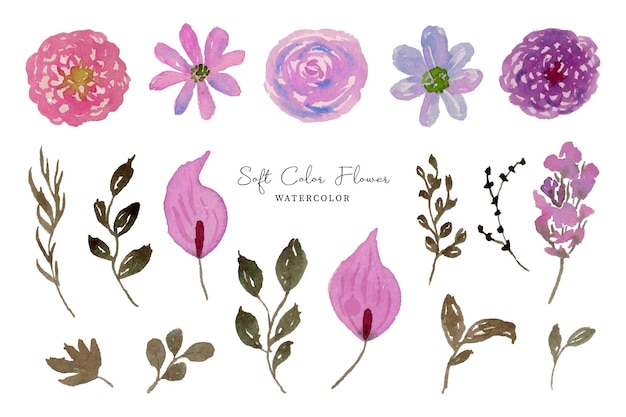 Um conjunto de ilustrações coloridas em aquarela de flores de verão