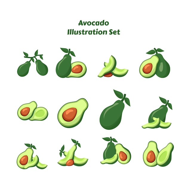 Um conjunto de ilustrações de abacate com a palavra abacate no topo.
