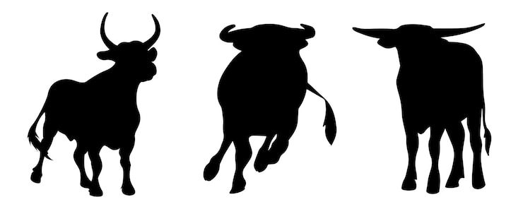 Vetor um conjunto de ilustrações vetoriais de touros em poses diferentes. silhueta de um touro poderoso com chifres.