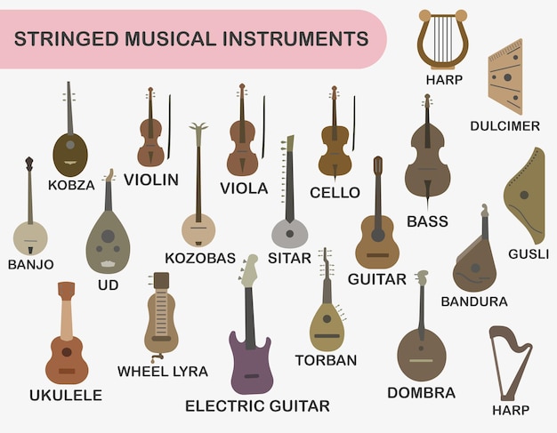 Vetor um conjunto de instrumentos musicais de cordas conjunto colorido de instrumentos de cordas com o nome