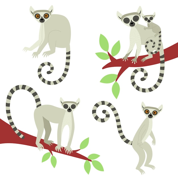 Um conjunto de lêmures em diferentes poses. animais fofos exóticos de madagascar e da áfrica. ilustração vetorial em estilo simples