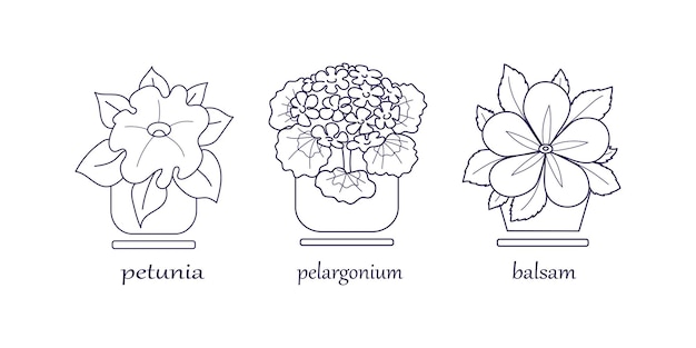 Um conjunto de plantas de casa com nomes imagem de contorno ilustração vetorial