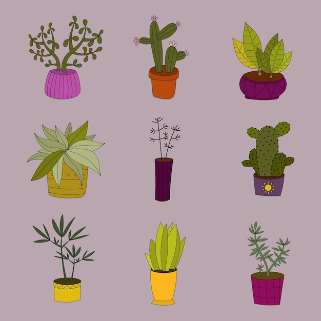 Um conjunto de plantas em vaso bonitas desenhadas à mão
