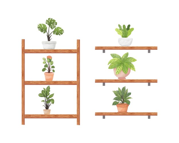 Vetor um conjunto de prateleiras com plantas e um fundo branco