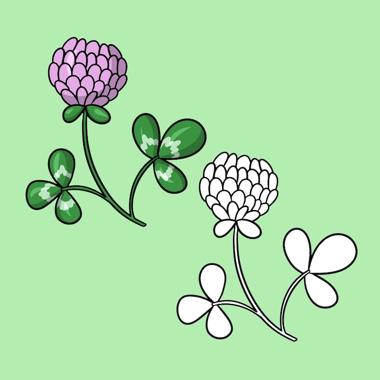 Vetor um conjunto de uma flor de trevo rosa com folhas de uma flor para coletar mel um vetor no estilo cartoon