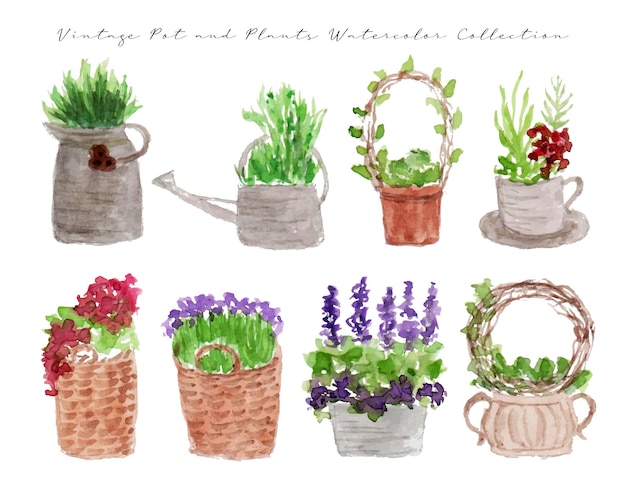 Um conjunto de vaso vintage pintado à mão e aquarela de plantas