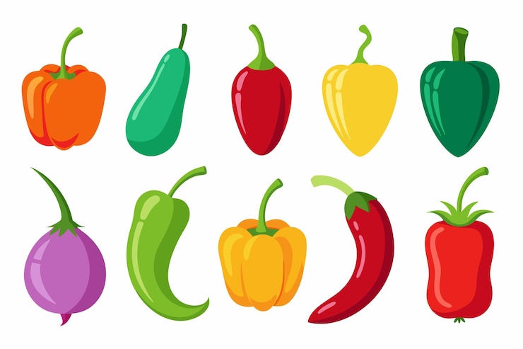 Vetor um conjunto de vegetais coloridos com um fundo colorido