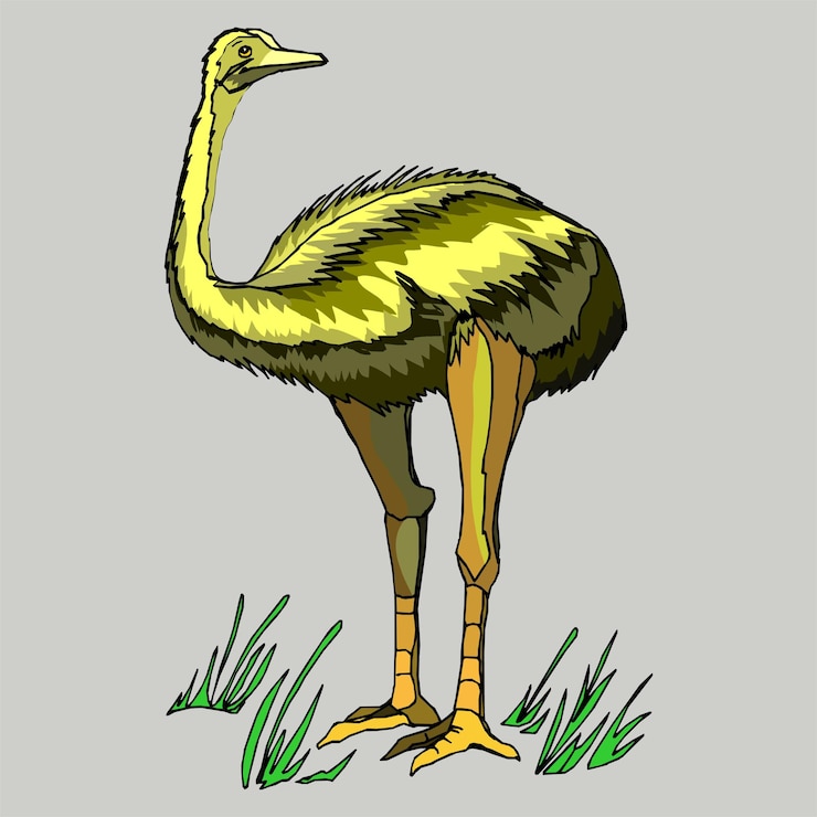 Vetor um desenho animado de um avestruz com as pernas abertas