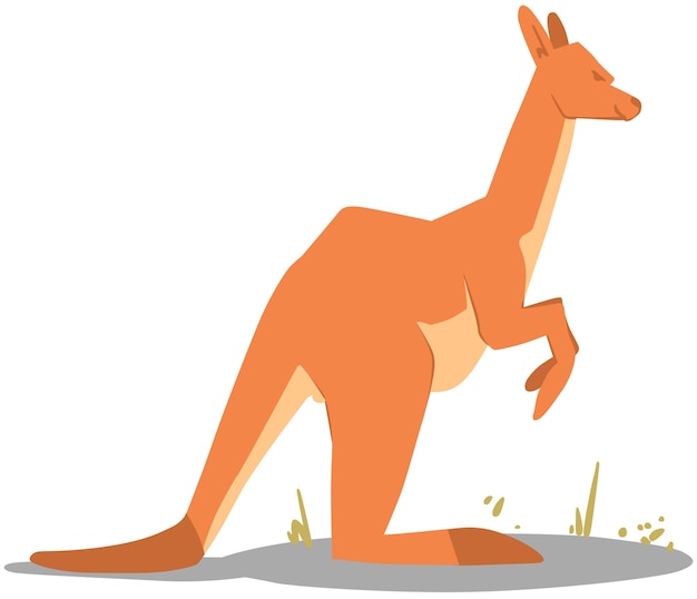 Um desenho animado de um canguru com um fundo branco.