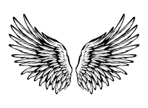 um desenho de asas de um anjo com as palavras asas de anjo sobre ele desenho de tatuagem asas pretas e brancas