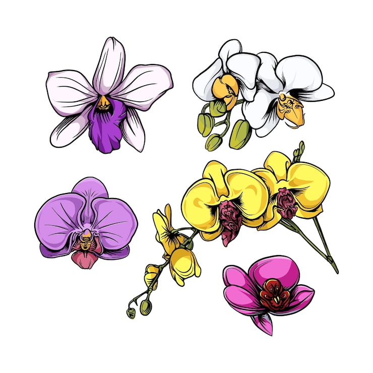 Vetor um desenho de flores e folhas com a palavra primavera