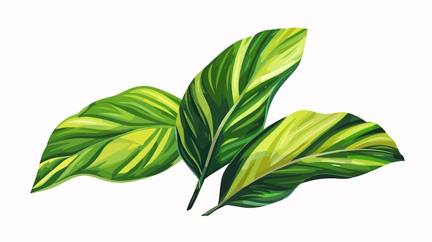 um desenho de folhas com um fundo verde