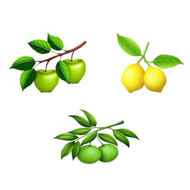 um desenho de limões e folhas verdes com as palavras limões nele