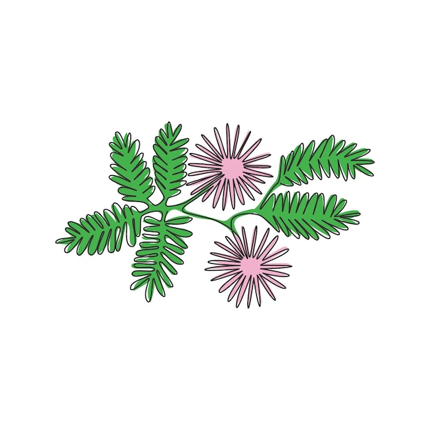 Vetor um desenho de linha contínua dormilones arte de parede doméstica vetor de design de flores de plantas adormecidas decorativas