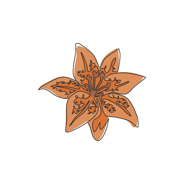 Um desenho de linha contínua lilium arte decorativa tigre lírio flor cartão de saudação design vetor