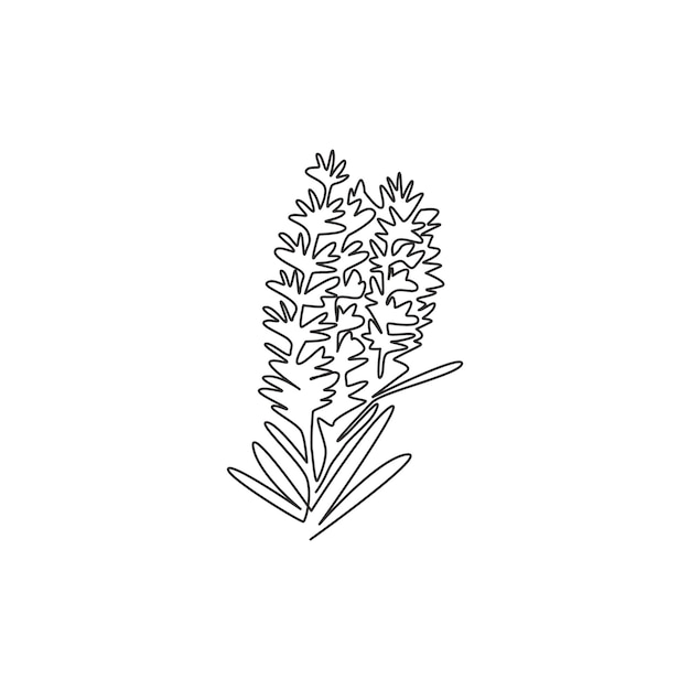 Um desenho de linha contínua logotipo do jardim de lavandula para impressão vetor de design de decoração de flores de lavanda