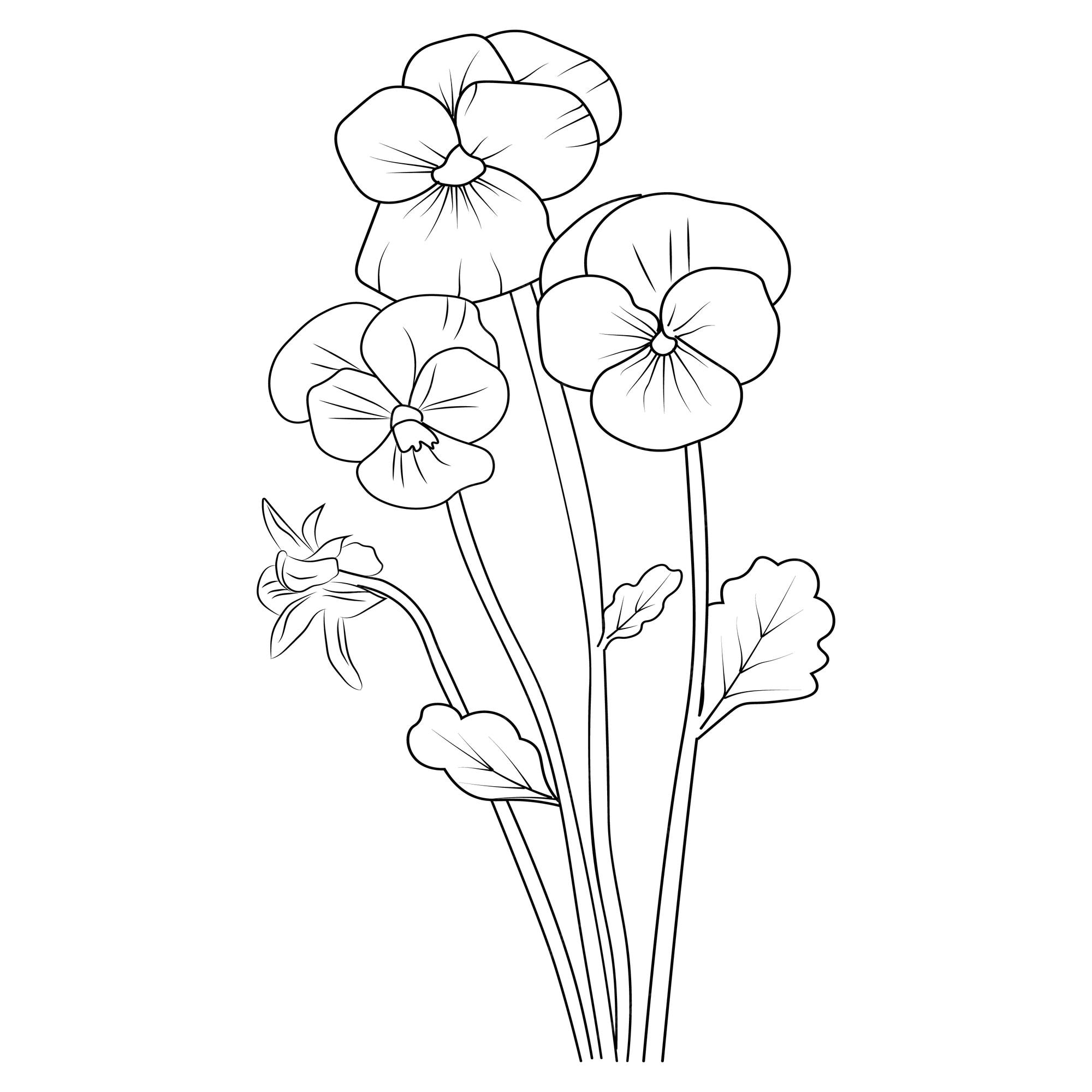 Desenho Para Colorir Para Adulto Buquê Flores Prado Contorno