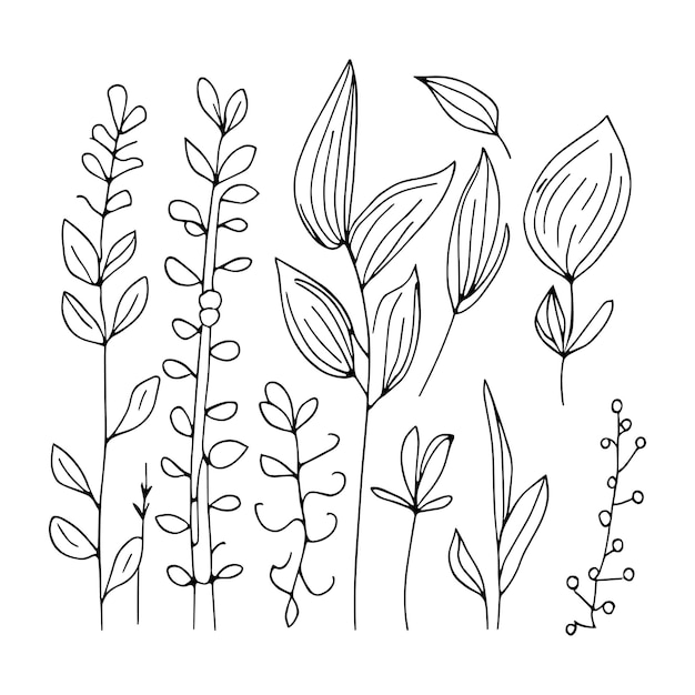 Vetor um desenho de linha preta de plantas com folhas vintage ilustração botânica de desenho de linha botânica