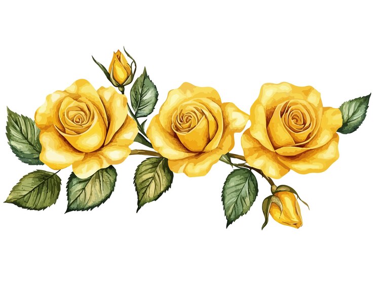 Vetor um desenho de rosas amarelas com folhas verdes