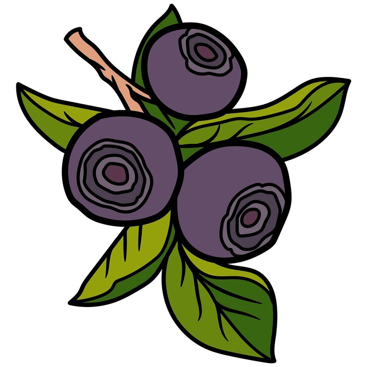 Vetor um desenho de um bando de mirtilos com folhas em um ramo