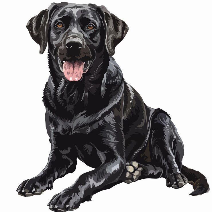 Vetor um desenho de um cão que tem a palavra cão nele